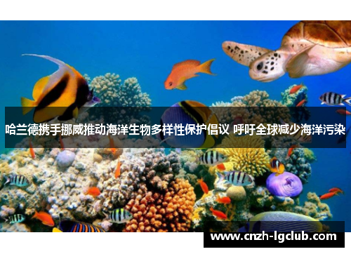 哈兰德携手挪威推动海洋生物多样性保护倡议 呼吁全球减少海洋污染 哈兰德携手挪威推动海洋生物多样性保护倡议 呼吁全球减少海洋污染