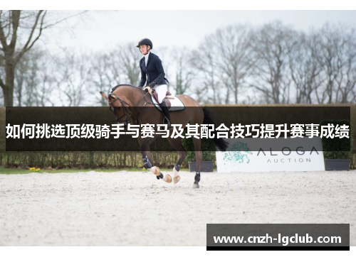 如何挑选顶级骑手与赛马及其配合技巧提升赛事成绩 如何挑选顶级骑手与赛马及其配合技巧提升赛事成绩