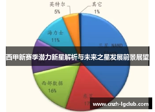 西甲新赛季潜力新星解析与未来之星发展前景展望 西甲新赛季潜力新星解析与未来之星发展前景展望