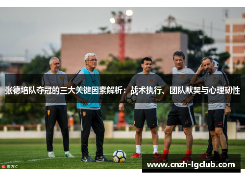 张德培队夺冠的三大关键因素解析:战术执行、团队默契与心理韧性 张德培队夺冠的三大关键因素解析:战术执行、团队默契与心理韧性